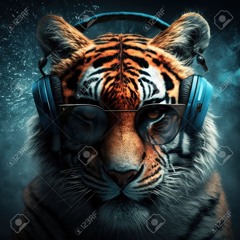 iT.Tiger