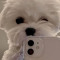 Huyen