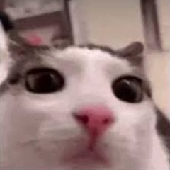 Menwey
