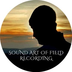 Sound_Art_of_Field_Recording & Music