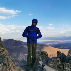 matt31