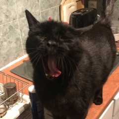 Okoejh