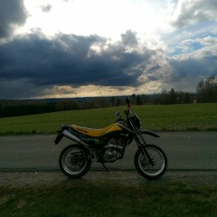 Leonie 112233
