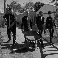 ...and the black feathers