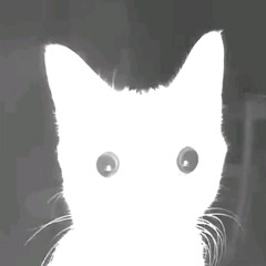 HVK