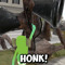 Honk!