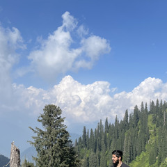 Talha Afridi