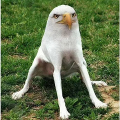 User 01111010 01100001 01101011