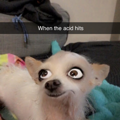 JizzWizz
