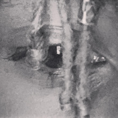 ChayesDLoadin