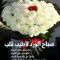 Hnaa Anwer