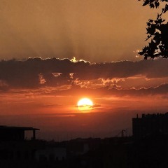 cristian silva castro