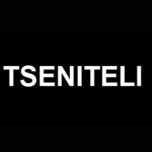 TSENITELI’s avatar