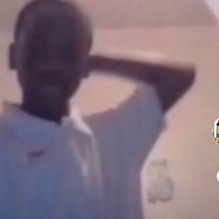 andrewp