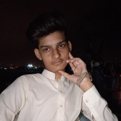 Danish Rajput
