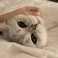 ْ