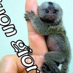 User 65647306