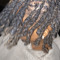 drekfrmdatmf