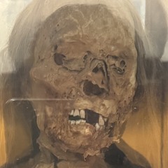 horrorsofexistencesince2003 ♲