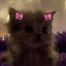 Shery