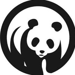 Panda records