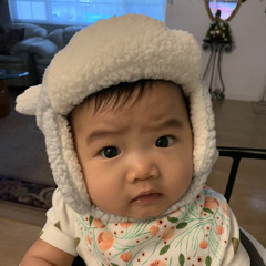 karnp26