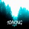 10AKING