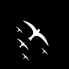 birdranger