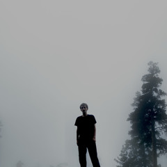wheredustsleeps__