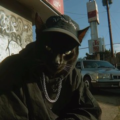 Jay Waverly (@jay.waverly)