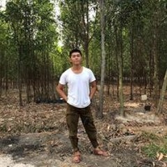 Quang Dinh