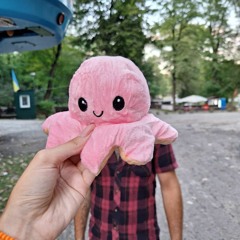 Радик