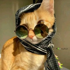 عائشة إبراهيم