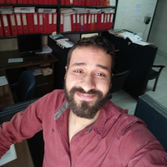 Mohamed Wahsh