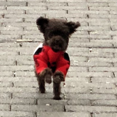 🏃