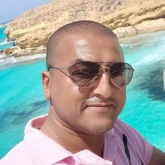 Ahmed Elsharkawy