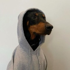 Dogbite