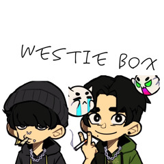 Wasty Box