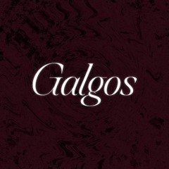 Galgos