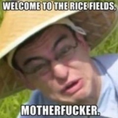 Rice fields enjoyer