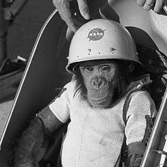 anto1977