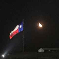 lone*star. loner