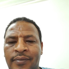 Hammu Zakariya