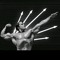 Arnold