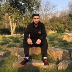 ShaNzeb MaMour