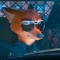 nick the fox