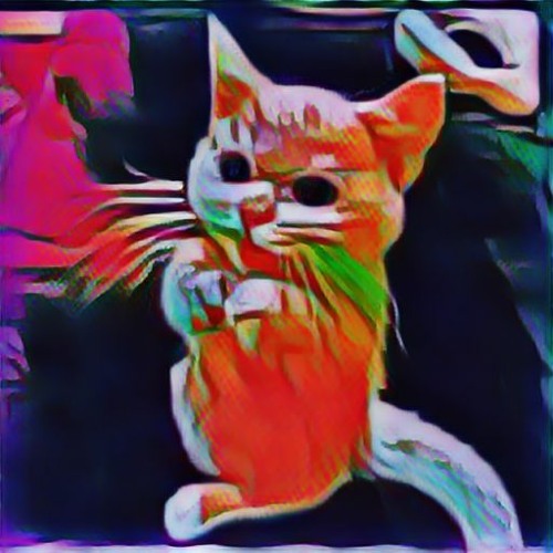 Pookiebear’s avatar