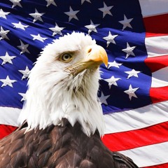 awesome 🦅🦅🦅🦅
