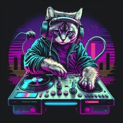 DJ EVERTON TAVARES