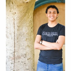 Bebo Gerges